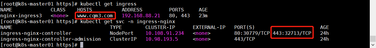 nginx-ingress十三